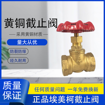 Ningbo Emeike brass globe valve 309 inner wire household water pipe all copper thickened handwheel table front valve