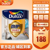 Dorothy Interior Exterior Wall waterproof coating latex paint