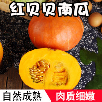 Hubei red skin Beibenan melon 5 kg whole box chestnut pumpkin Golden Japanese fresh vegetables old pumpkin baby supplement food