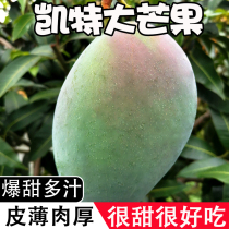 Panzhihua Kate Mans 10 pounds of fresh fruit season large green mango sweetheart specialty busy fruit whole box