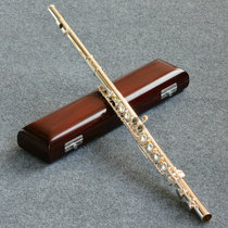 Taiwan atesen atesen FL100FEB white copper silver plated flute 16 key closed hole Plus E key C tail row
