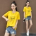 Áo thun ngắn tay nữ cổ chữ V mỏng mỏng 2019 hè mới cotton giản dị áo thun nữ tay dài - Áo phông Áo phông