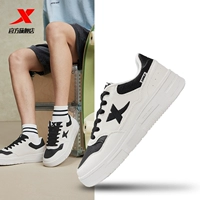 Модель Санбай/Черных