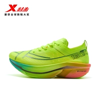 Everything is Born [Женский] Новый флуоресцентный зеленый 160X 6.0PRO