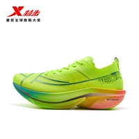 All Things Born [Мужской] Новый флуоресцентный зеленый 160X 6.0PRO