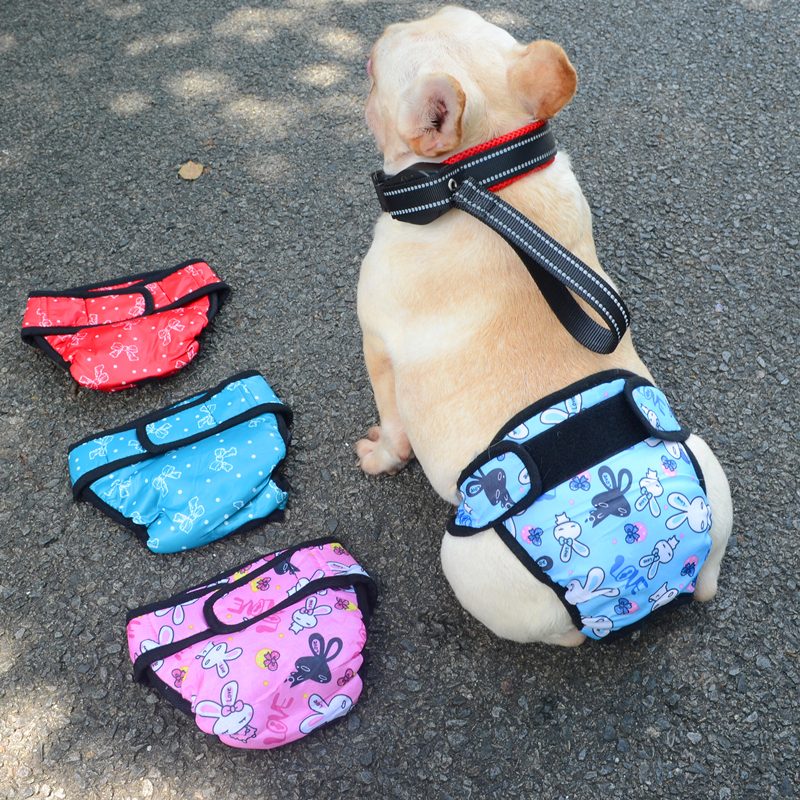 Dog physiological pants large, medium and small dogs anti-bite rot method fighting contraceptive pet menstrual bitch aunt towel safety pants