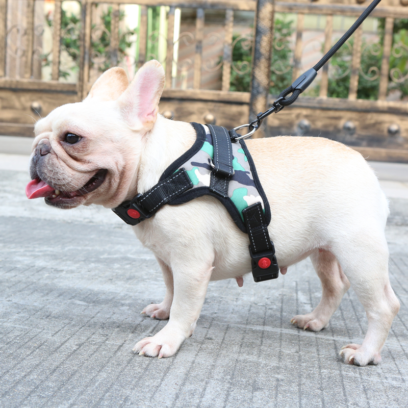 Pooch Chest Backyard Dogfight Teddy Neckline Traction Rope Walking Dog Rope Dog Chain Vest Type Small Medium Sized Large Dog Supplies