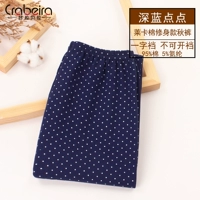 Тибетская темно -синяя точка