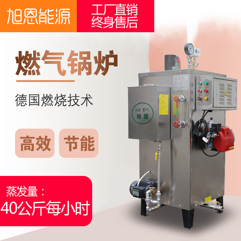 Fully automatic 40KG gas steam generator commercial brewing tofu cooking pulp energy saving and environmentally friendly steam boiler industry