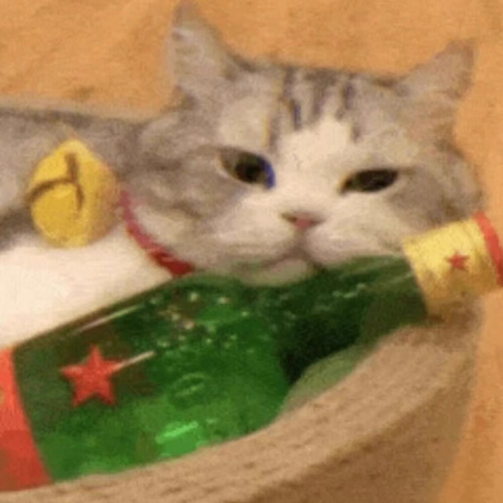 一枝梨花猫