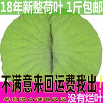 Lotus leaf for glutinous rice chicken special lotus leaf for beggars chicken whole dried lotus leaf for beggars chicken authentic package of natural lotus leaves