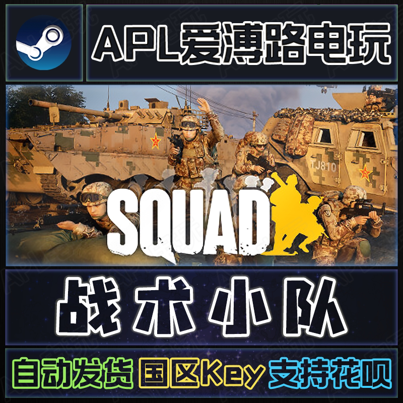 Steam Genuine Tactical Squad Action Team Squad Squad Online Pc China Region Activation Code Cdkey