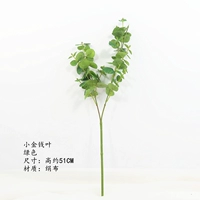 Маленький лист денег