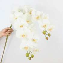  High-quality feel 9-head phalaenopsis simulation single fake flower Nordic table decoration floral soft decoration wedding flower arrangement