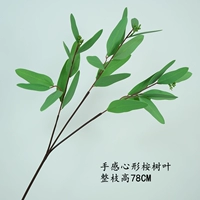 Почувствуйте эудзиали в форме сердца