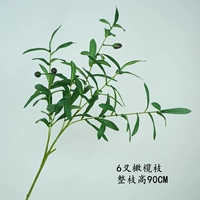 Ветка оливы