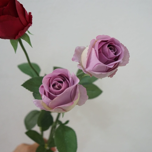 Ультрареалистичный ощущение увлажняющей паларии роза осенняя цветовая симуляция свадебный цветочный материал мягкая мебель Фотография реквизит