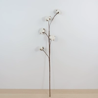 5 хлопковых ветвей и ветвей