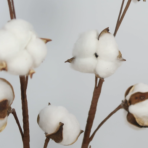 Хлопковый натуральный реалистичный художественный декор для гостиной, домашний декор