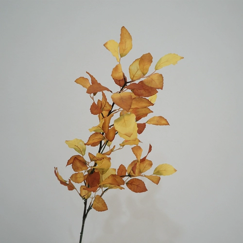 Рассказывание маслом ретро -симуляция шелковая ткань