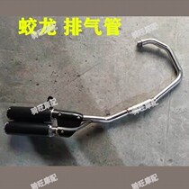 Road Racing Dragon 400 Motorcycle Exhaust Pipe Accessories Little Ninja V6 Locomotive Modified Stainless Steel Silencer