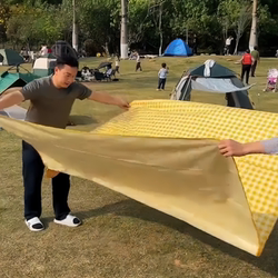 New Picnic Mat Outdoor Thickeneded Waterproof Camping Style Non-Woven Material Mat Moisture-Proof Mat Beach Mat ins Style Outing