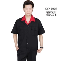 05 тибетский красный воротник