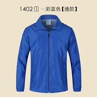 【Добавить сетевые персики】 2 цвета синего