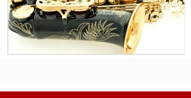 France Selmer Salma 54 thả E giai điệu trong âm nhạc sơn đen phím vàng alto sax - Nhạc cụ phương Tây trống yamaha