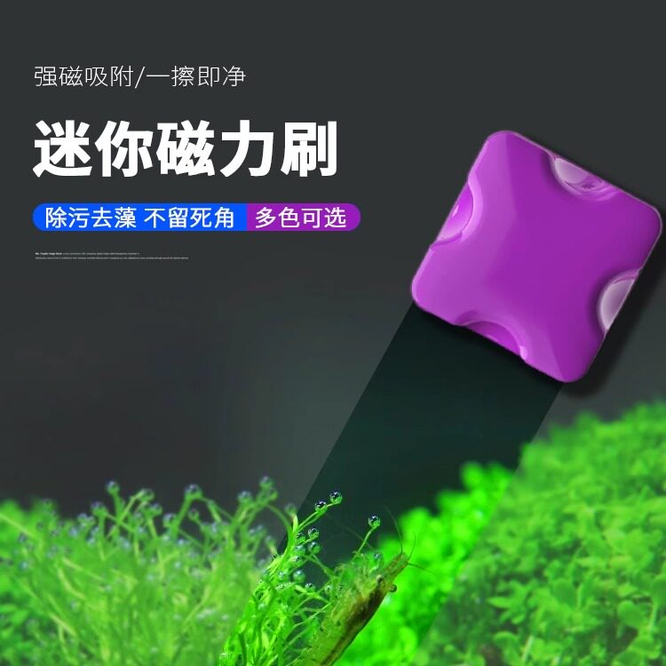 Mini fish tank magnetic brush, small glass algae removal, double-sided cleaning and cleaning, algae scraper, cleaning tool, algae removal brush