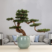 New Chinese simulation pine tree welcome pine bonsai plant potted exhibition hall Living room Hotel Zen entrance decoration customization