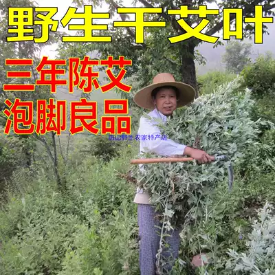 Dragon Boat Festival Wormwood Three-year old Wormwood Wormwood leaves Dried wild Wormwood feet bath 100g 
