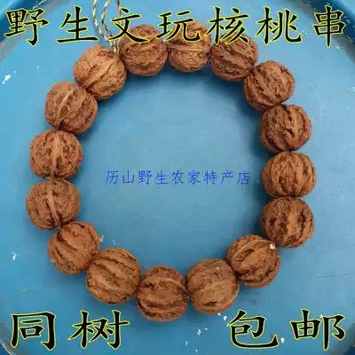 Boutique wild play Qiuzi is round short pile pecan lion head holding handstrings