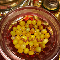 Shakyamunis golden whey transformed into a solid seed and sent safflower for the relic pagoda Gawu Tibetan