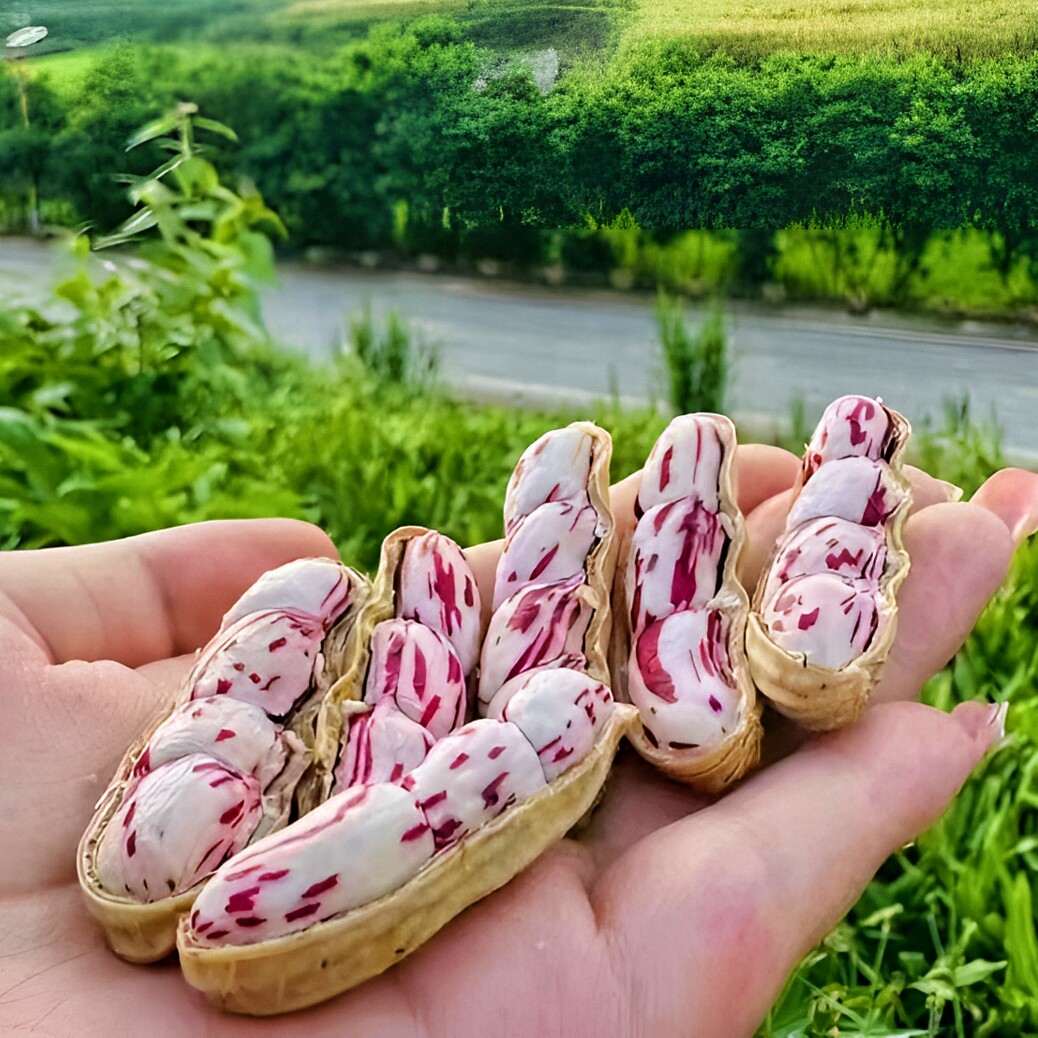佳禾农业