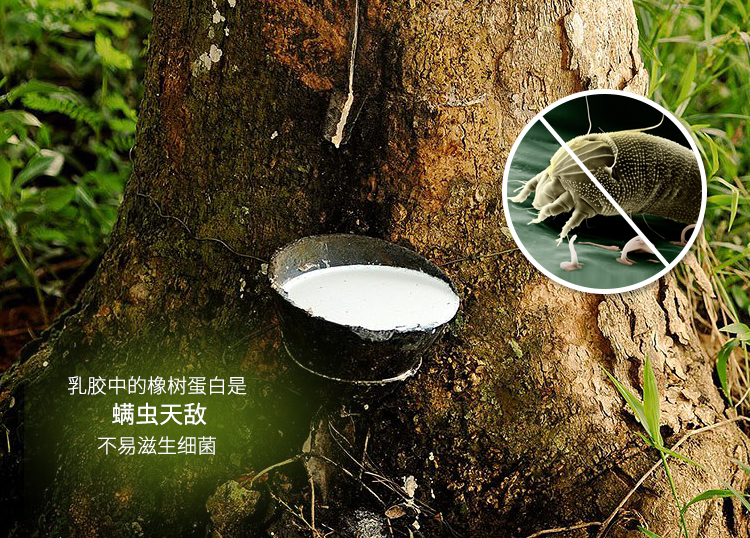 Mầm non trưa cao su thiên nhiên nệm bé nệm trẻ em khâu giường bé latex nệm có thể được tùy chỉnh - Nệm nệm hơi