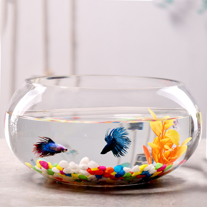 Table mini fish tank office thickened transparent turtle tank living room household glass small fish tank desktop goldfish tank