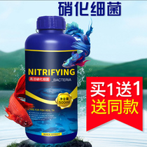 Nitrifying bacteria Nitrifying bacteria Aquarium ornamental fish digestive bacteria Fish tank water purifier Fish farming supplies Water quality stabilizer