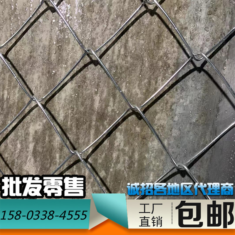 Guest soil spray planting grass galvanized barbed wire fence mountain shotcrete slope Greening wire mesh spray sowing net Diamond net