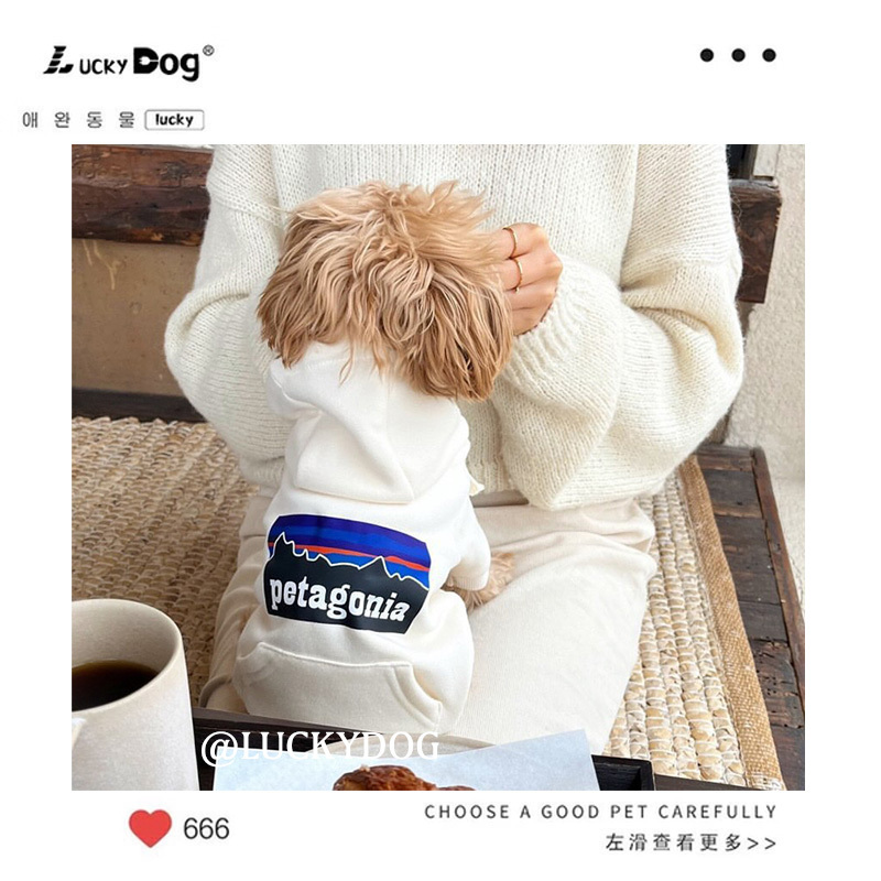 Dog Clothes Autumn and Winter 2026 New Warm Fleece Letter-Print Cute Sweatshirt for Small Dogs Like Teddy and Bichon