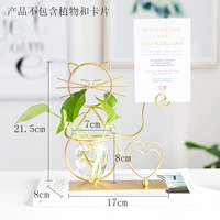 Кошка гидропоник c (золотой)