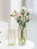 Nordic ins Feng Shui Pui light luxury dining table Transparent Wrought iron metal glass gold small vase Living room flower arrangement ornaments