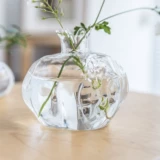 Творческая простота современная японская стиля