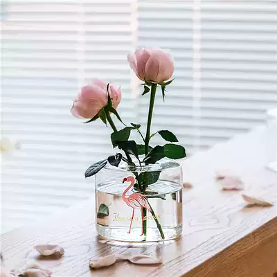 ins Wind transparent glass vase creative Nordic living room home decoration hipster plant dry flower arrangement