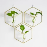 Северный стиль Железный творческий гидропонный стеклянный ваза подвеса прозрачная вставка зеленая стена плюща, висящая маленькая свежая стена