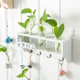 Творческая гидропонная стеклянная ваза подвеска