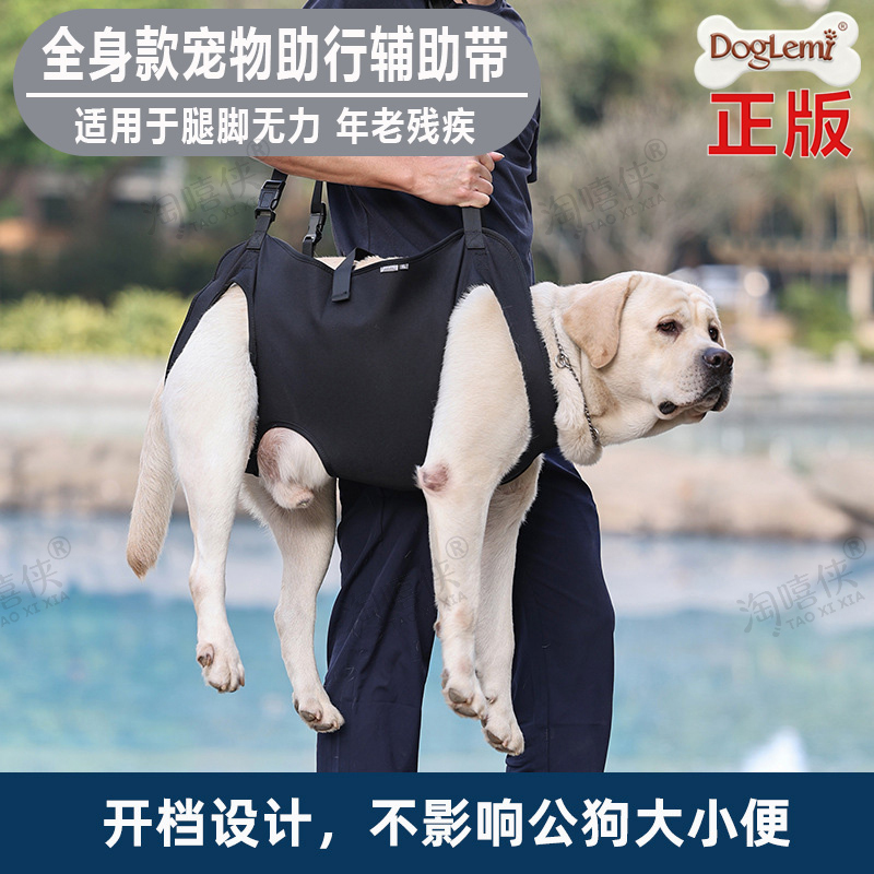 Pet Dog Hind Leg Support Belt for Elderly Dogs, Hind Limb Support, Waist Protection, Disabled Paralysis Harness, Walking Aid, Rehabilitation Tool