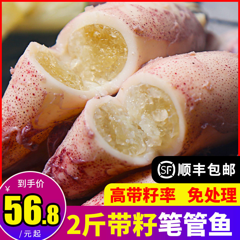 Sea rabbit full of seed pen tube fish with seed cuttlefish baby whole seed squid squid frozen fresh seafood aquatic products live