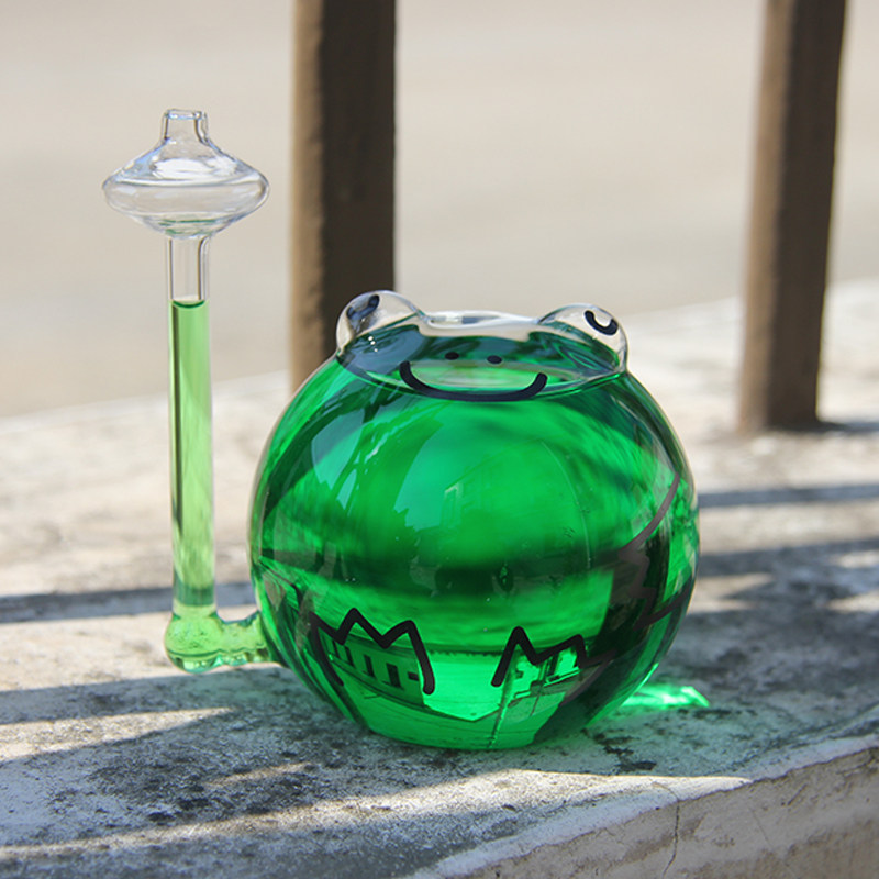 Couple net red creative frog weather pot glass transparent weather forecast bottle study decoration can be lettering