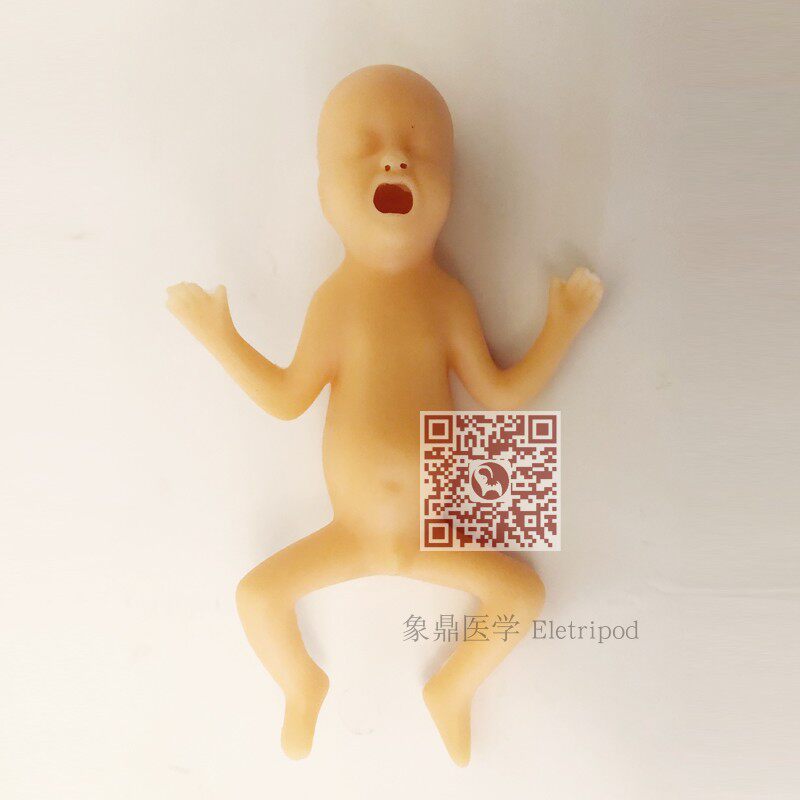 Eletripod 象鼎医学 高级24周早产儿模型 ET/FT331A